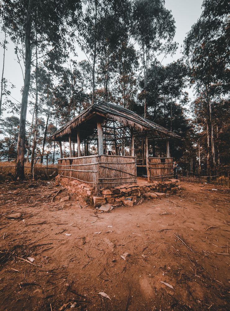 Photograph by Athul Radhakrishnan