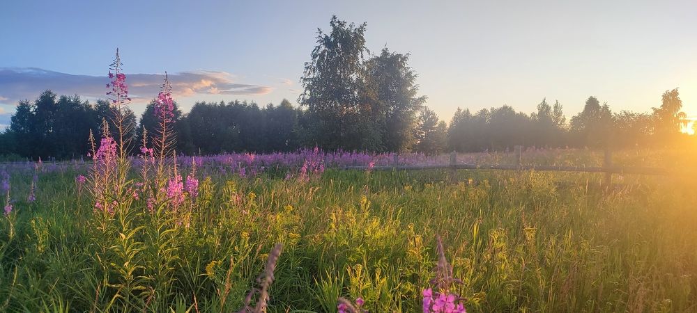 Photograph by Анна Якимова