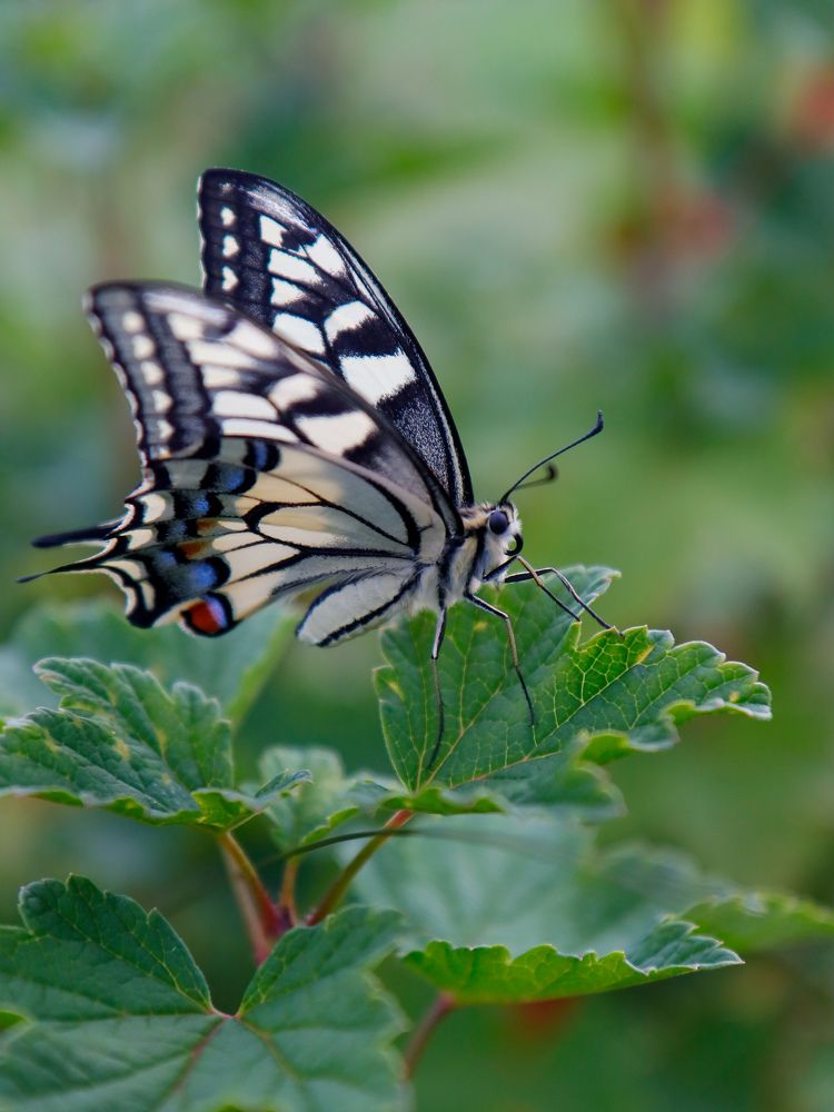 Photograph by Екатерина Слепнева