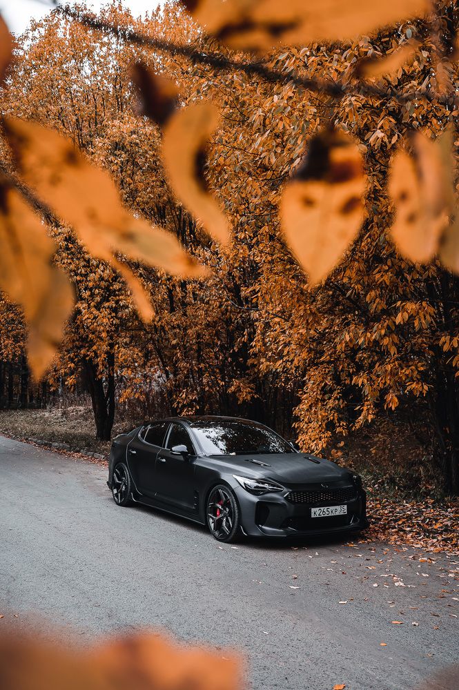 Photograph by Дмитрий Левин