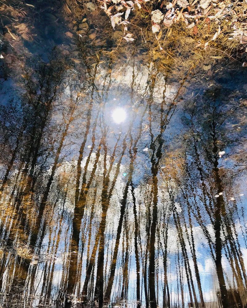 Photograph by Мария Фомичева