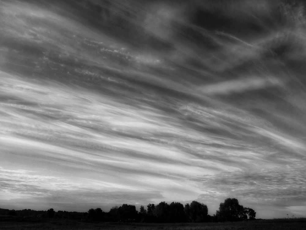 Photograph by Любовь Коровацкая