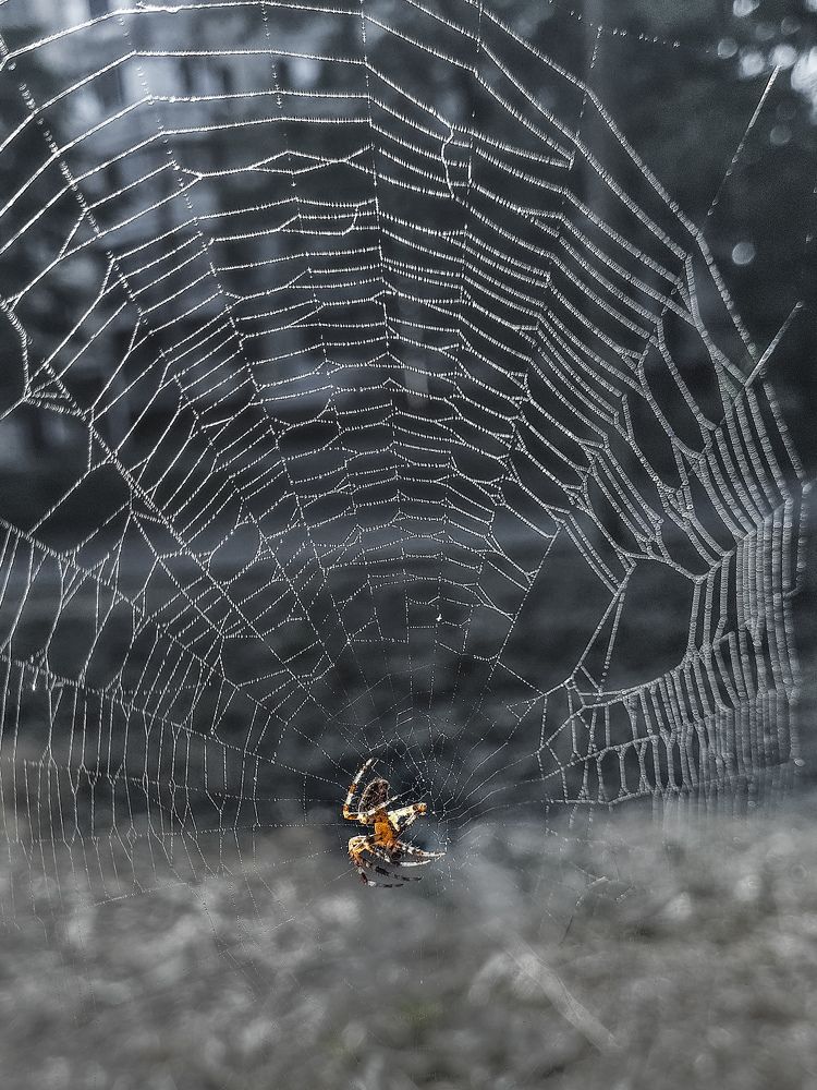 Photograph by Лариса Когтева