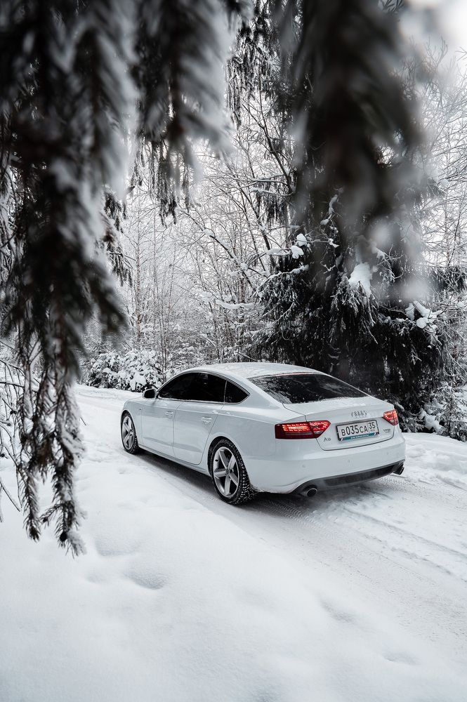 Photograph by Дмитрий Левин