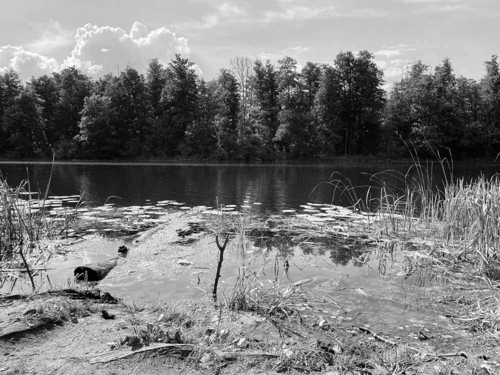 Photograph by Гульнара Шаньгина