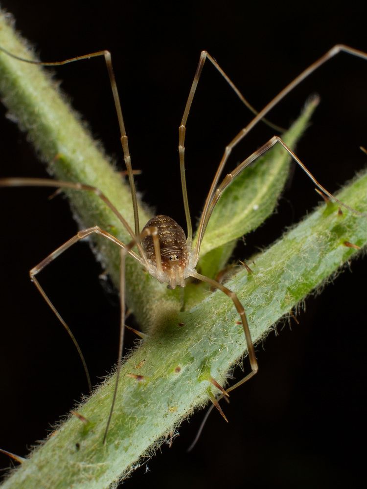 Photograph by Екатерина Талалай