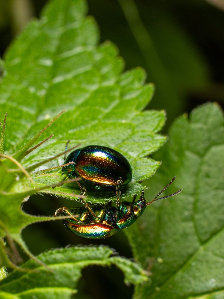 Photograph by Екатерина Талалай