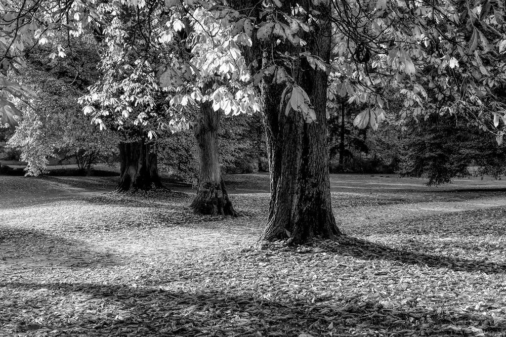 Photograph by Лидия