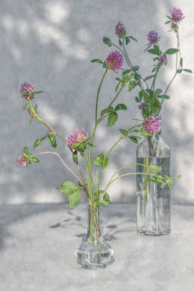 Photograph by Лидия