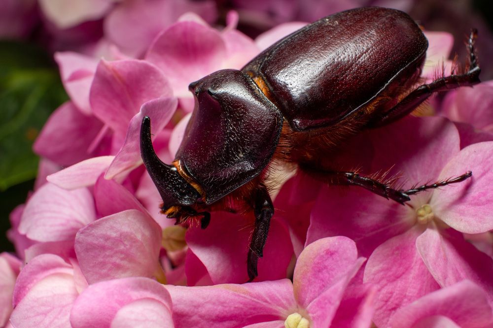 Photograph by Екатерина Талалай