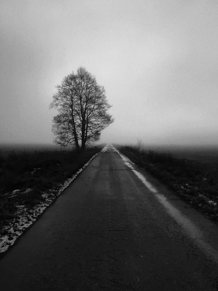 Photograph by Татьяна Якшук