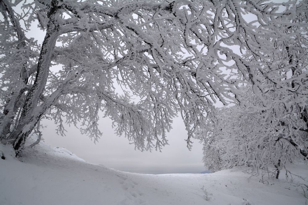 Photograph by Екатерина Крючкова