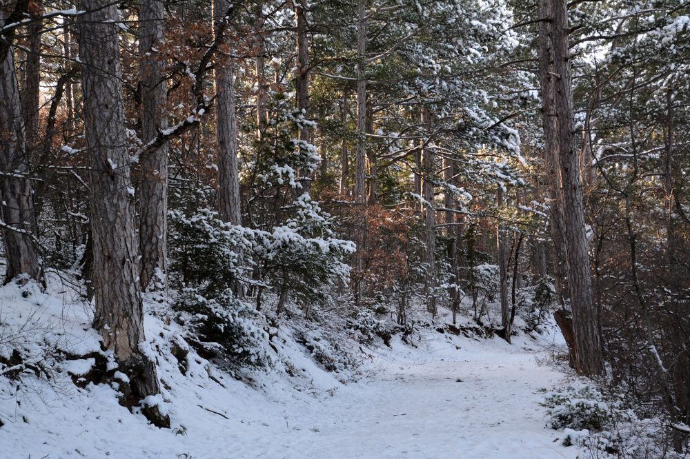 Photograph by Екатерина Крючкова