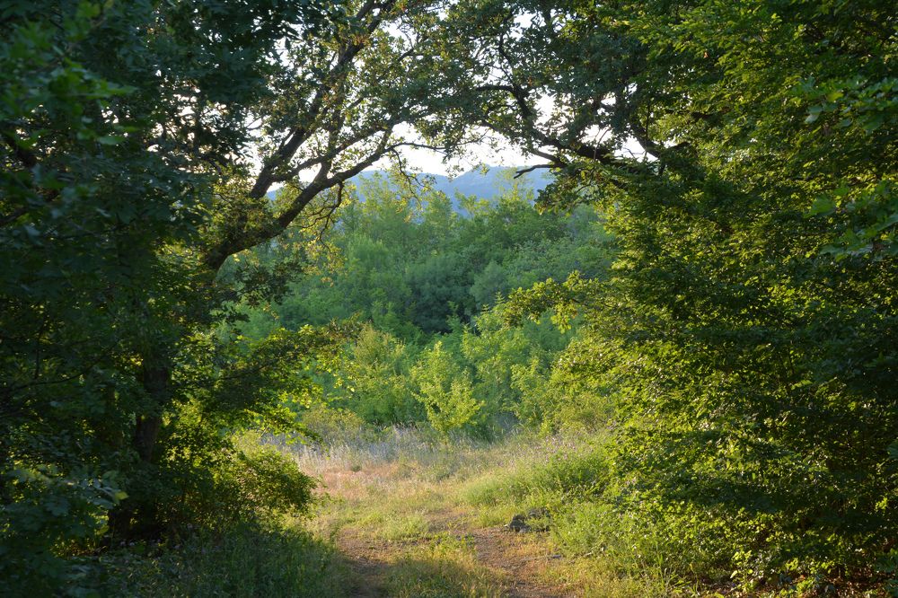 Photograph by Екатерина Крючкова