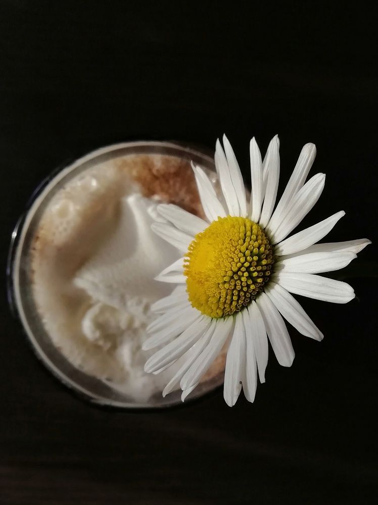 Photograph by Екатерина Чижевская