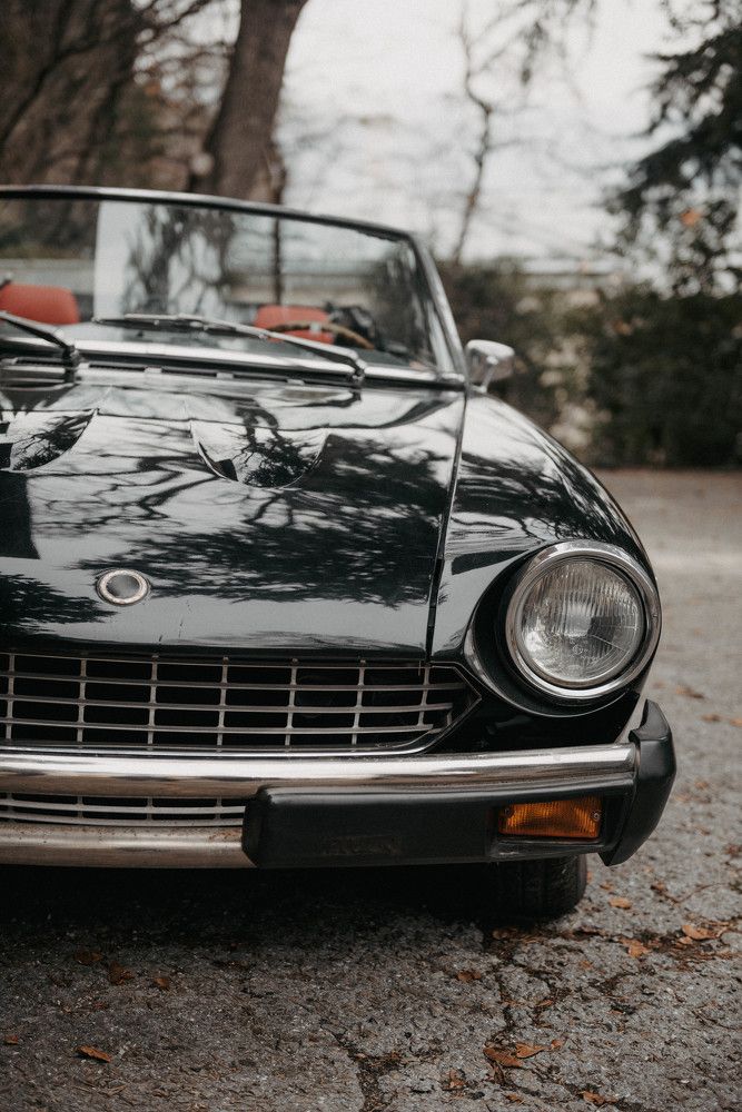 Photograph by Ольга Солодилова