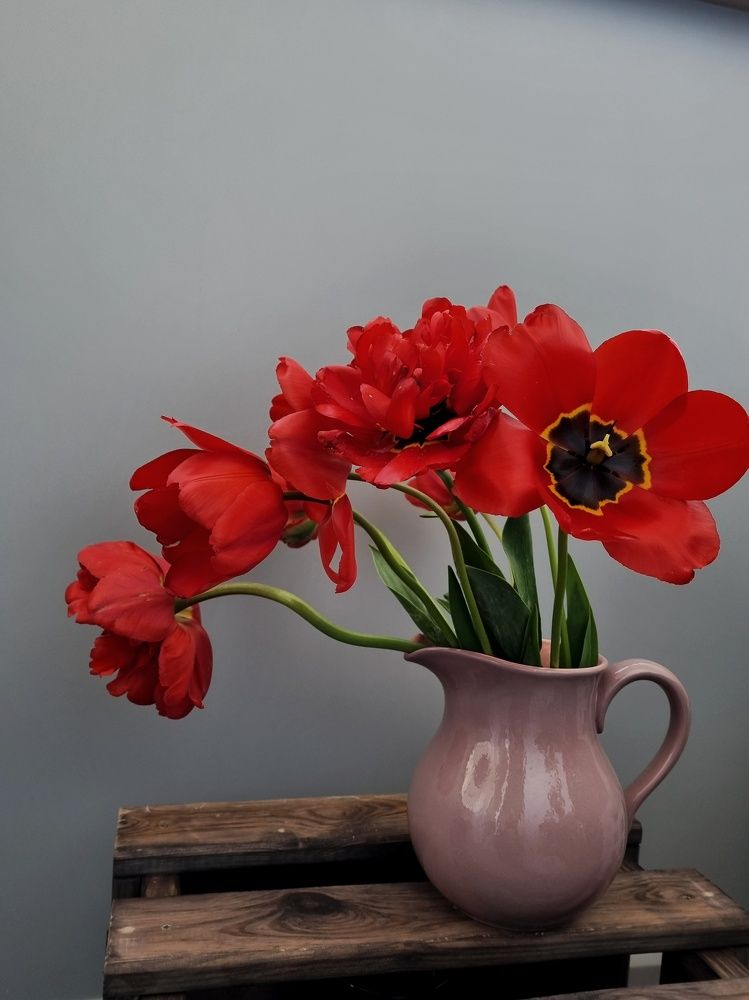 Photograph by Марина Ивасюта