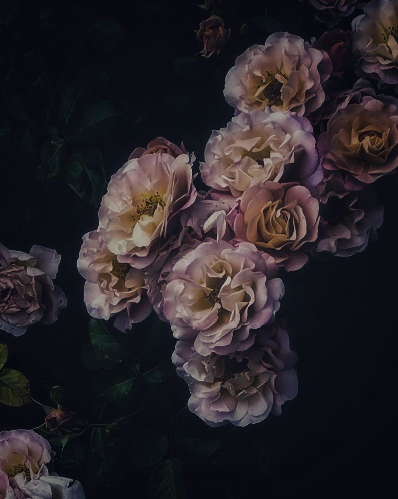 Photograph by Валерия Марцинковская