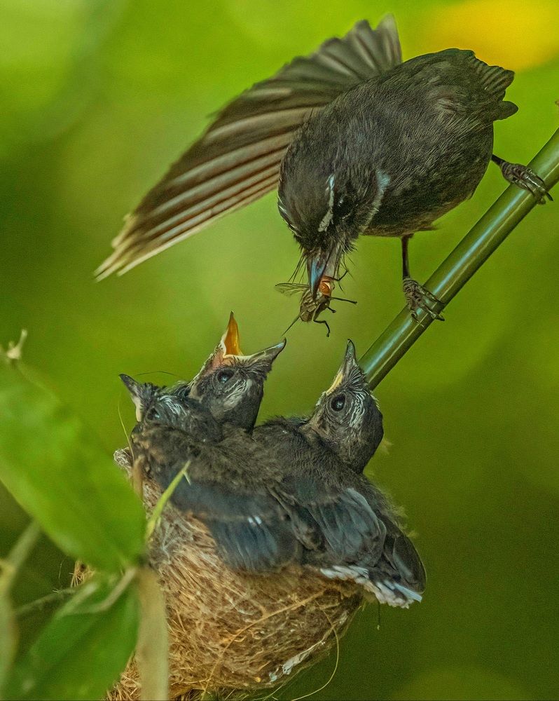 Photograph by PRATYUSH HALDER