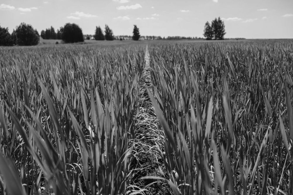 Photograph by Марина Слепова