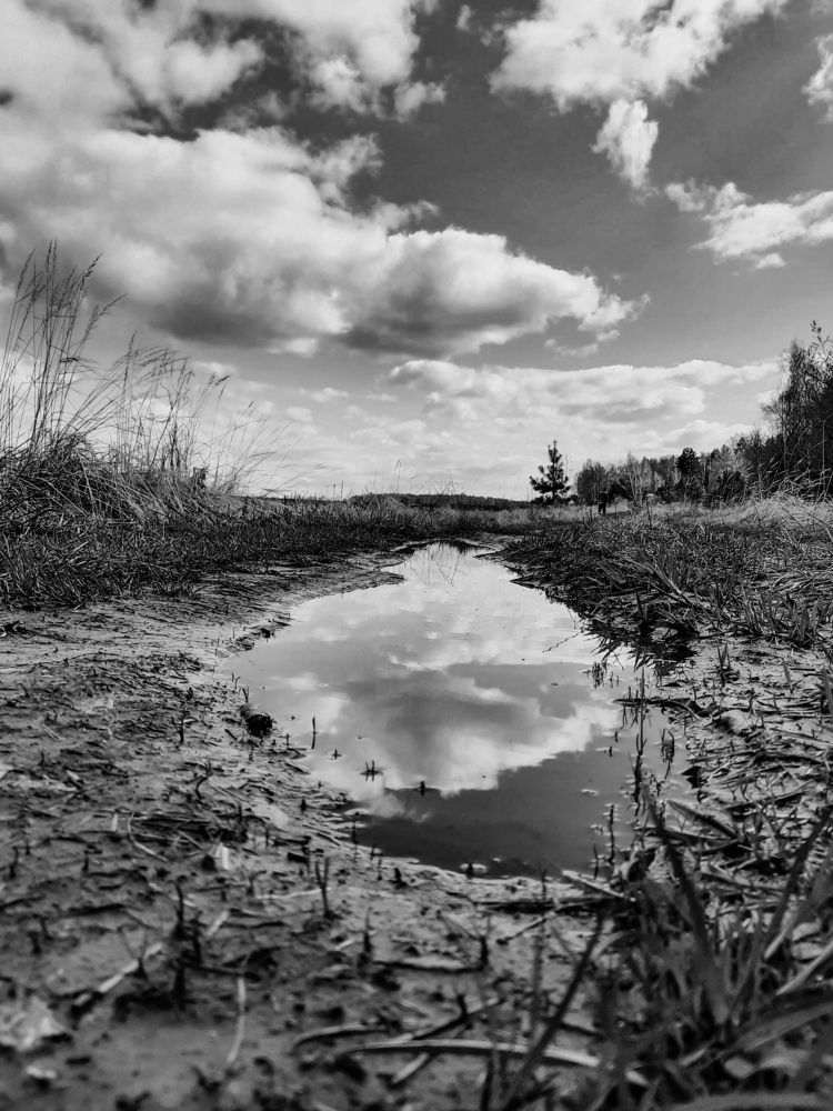 Photograph by Марина Слепова