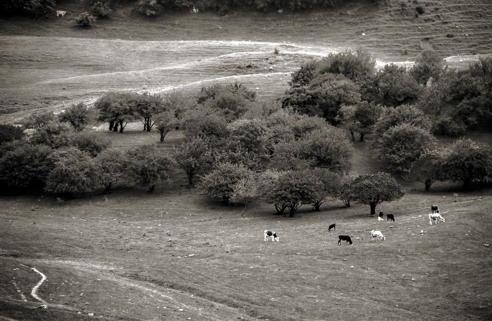 Photograph by Юрий Рыдалёв