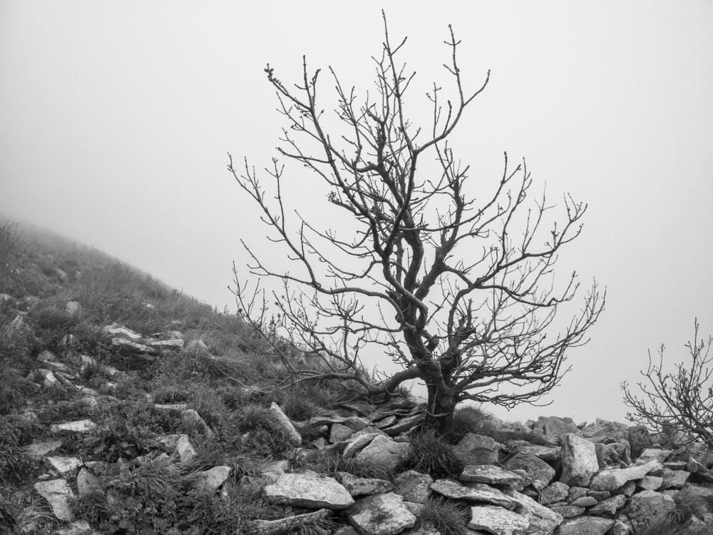 Photograph by Ярослав Изотов