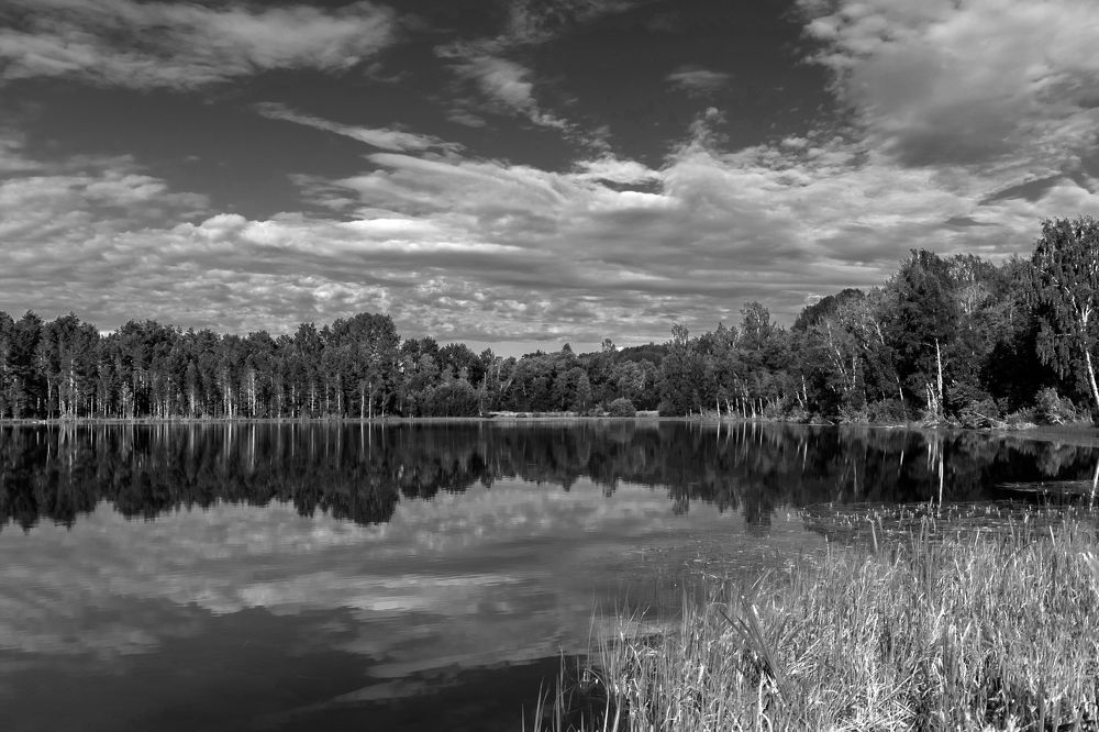 Фотография автора Светлана Разумовская