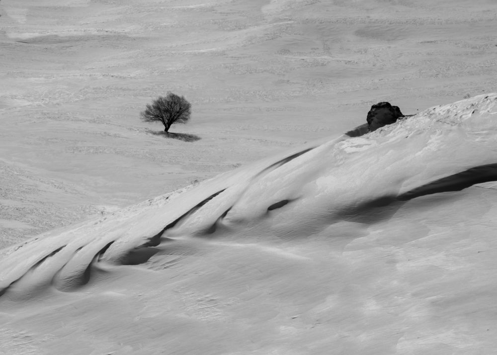 Фотография автора Alipour mohammad