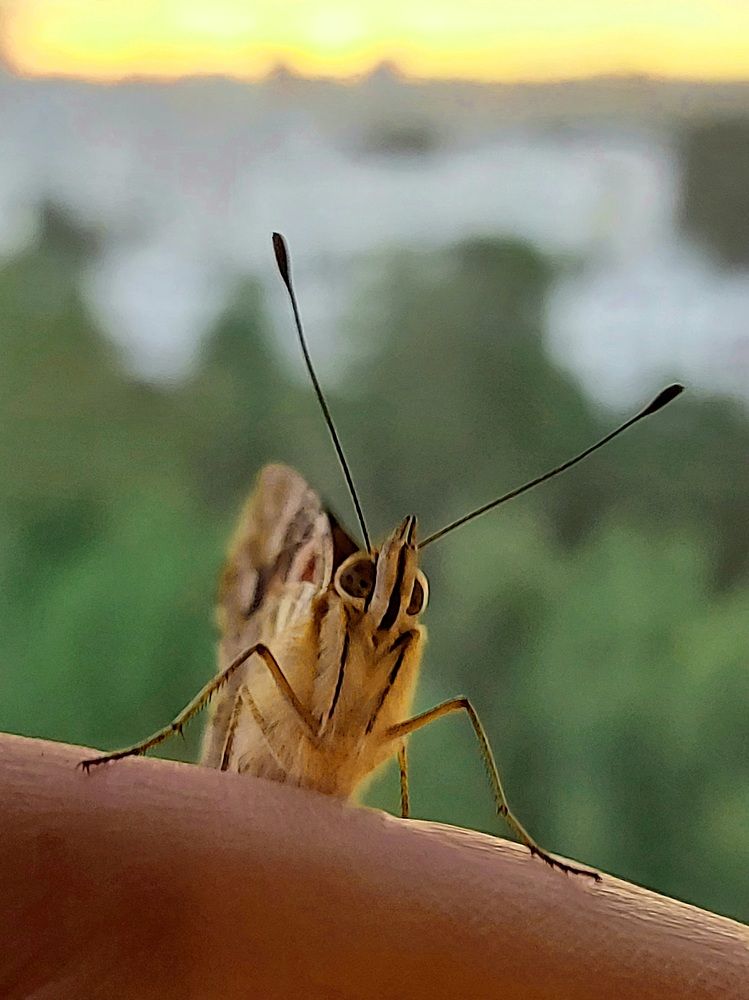 Photograph by Фролова Светлана