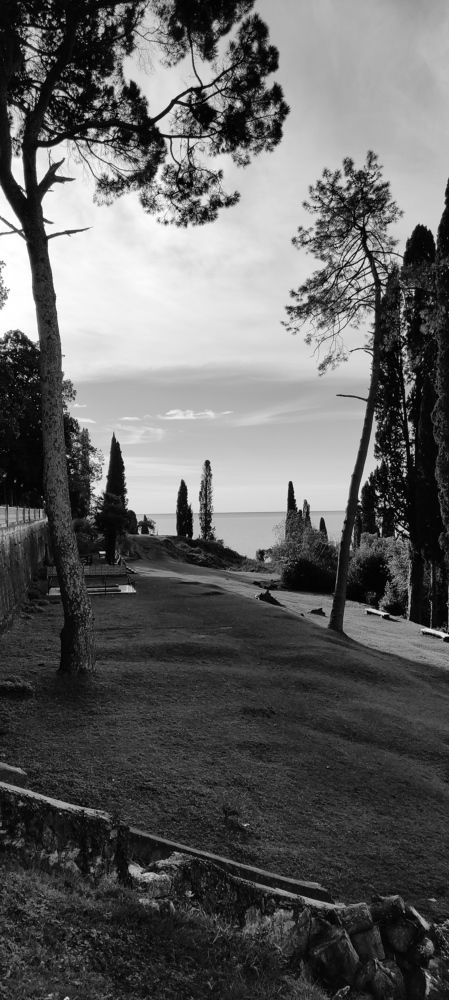 Photograph by Ольга Манелова