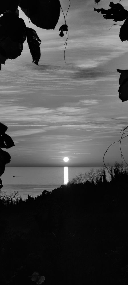 Photograph by Ольга Манелова