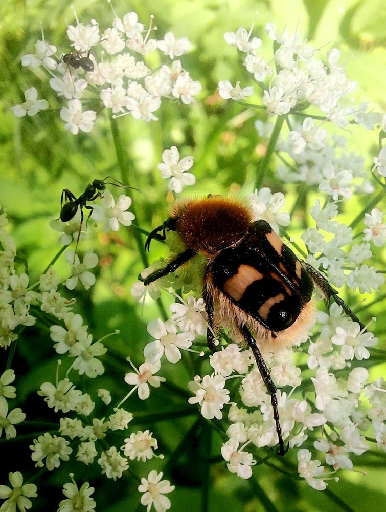 Photograph by Фролова Светлана