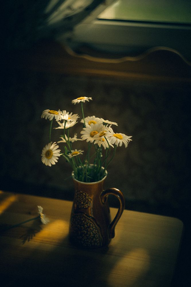 Photograph by Анастасия Кузьмина