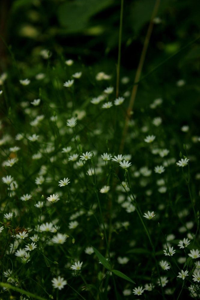 Photograph by Руслан Гордиенко
