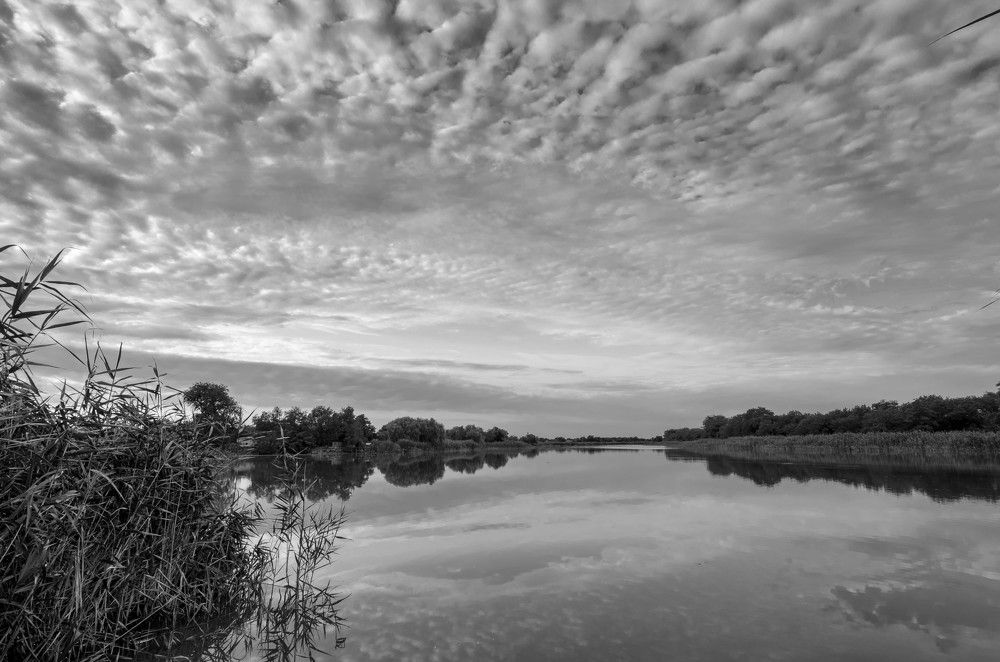 Photograph by Редько Александр