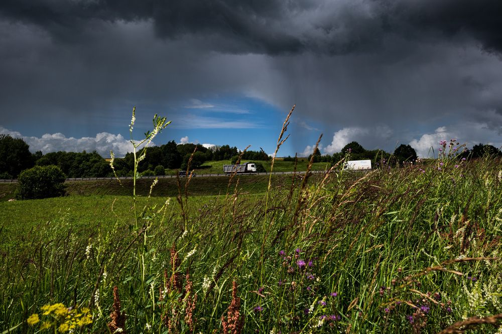 Photograph by Юлия Лис-а