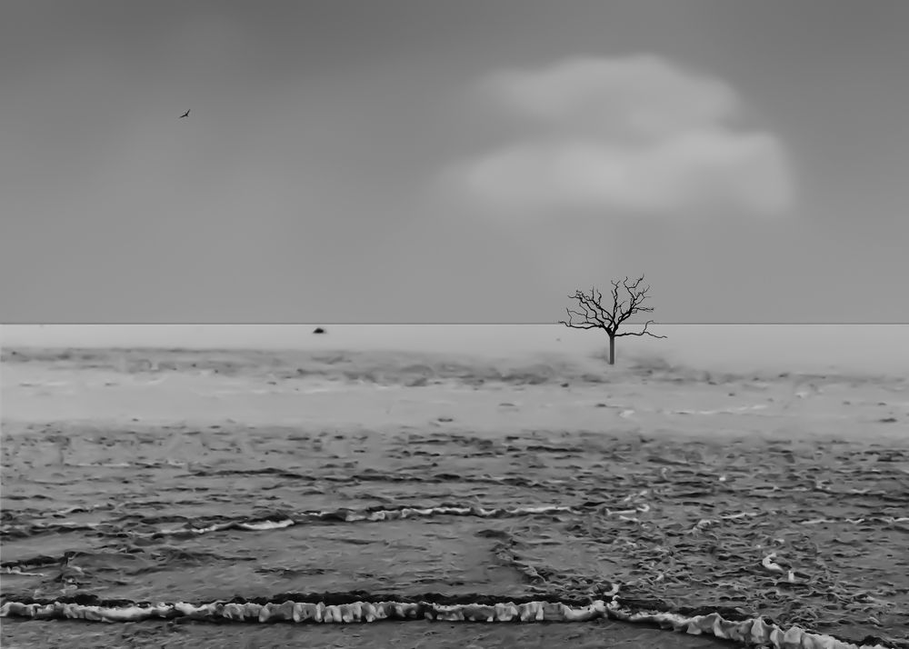 Photograph by Hoda Amouzandeh