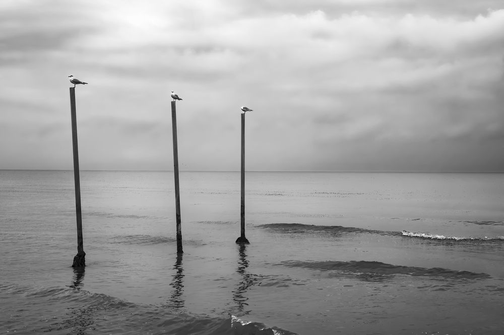 Photograph by Hoda Amouzandeh