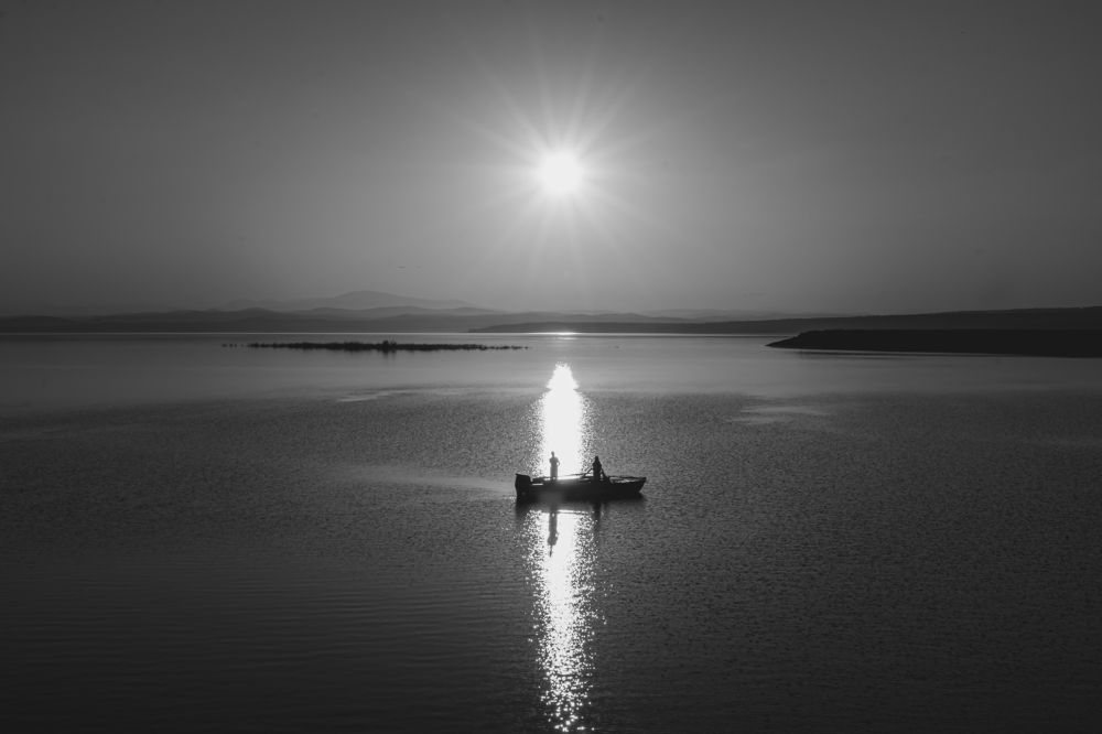 Photograph by 