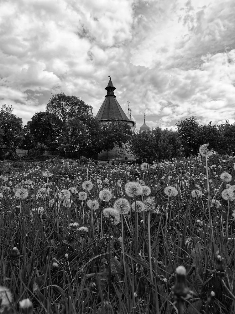 Photograph by Ксения Прохорова