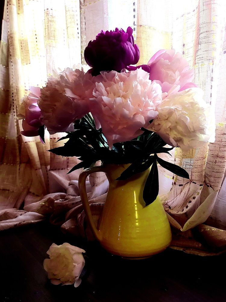 Photograph by Фролова Светлана