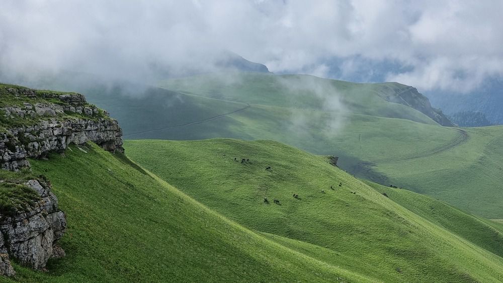 Photograph by Ирина Кравченко