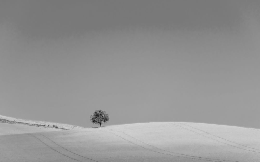 Photograph by Francisco José López Fernández