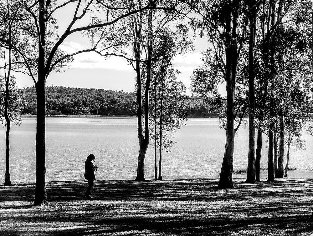 Photo #7819765