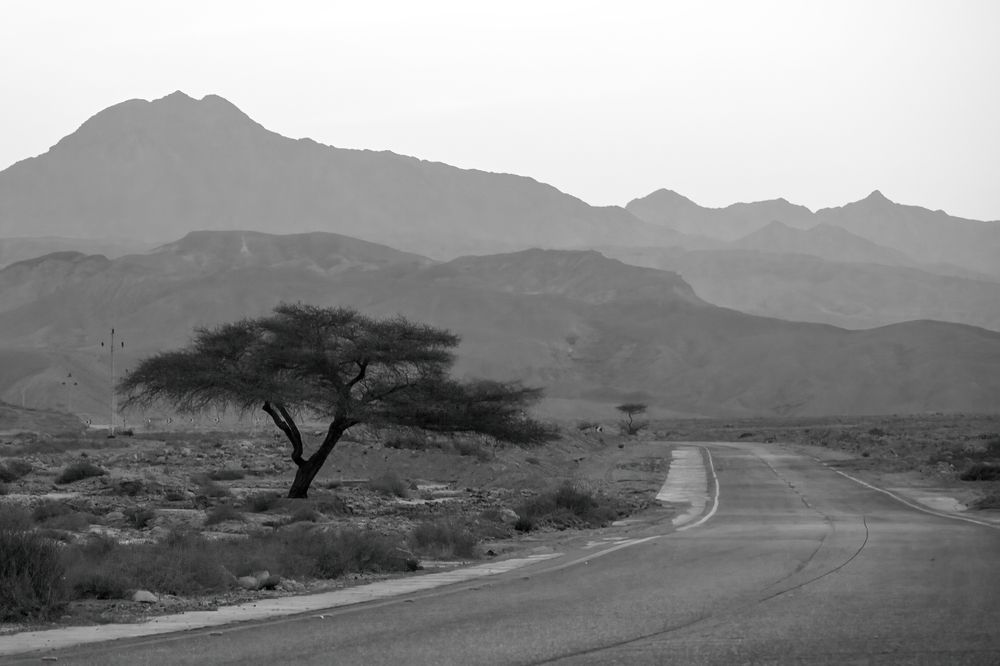 Photograph by Moataz Helmy