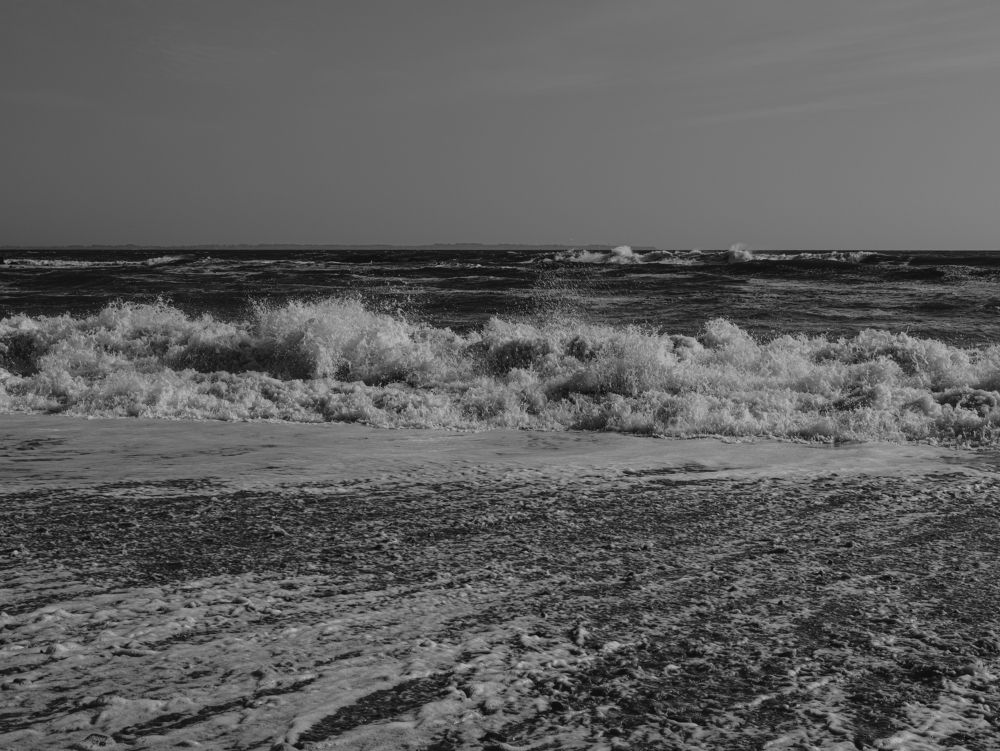 Фотография автора Elena Martynova-Rybczynski