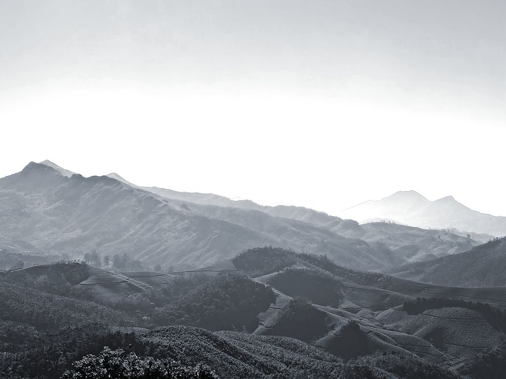 Photograph by ADARSH AJ