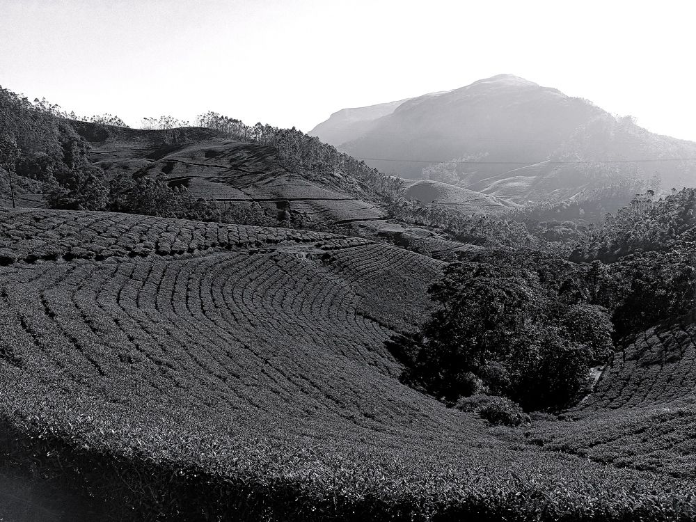 Photograph by ADARSH AJ