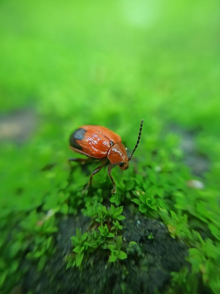 Photograph by ADARSH AJ